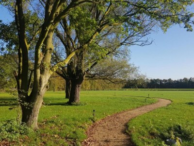Holiday park Holiday Home in Netherlands Pond View - Environment photo 29