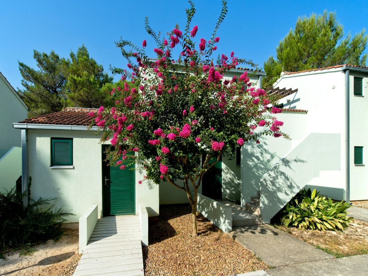 Holiday park Zaton Resort Apts. with Pool - Outdoor photo 5
