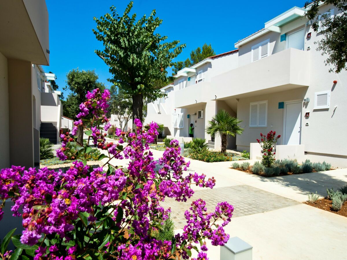 Holiday park Zaton Apartment with Pool for Four - Outdoor photo 5