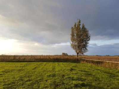 Holiday house Bungalow in South Holland with Private Jetty - Environment photo 23
