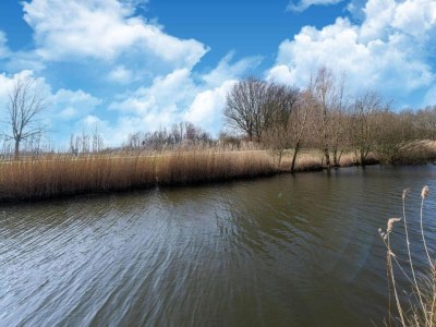 Holiday house Bungalow in South Holland with Private Jetty - Environment photo 28