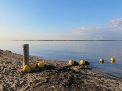 Holiday house Bungalow in Zuytland Buiten by the Water - Environment photo 36