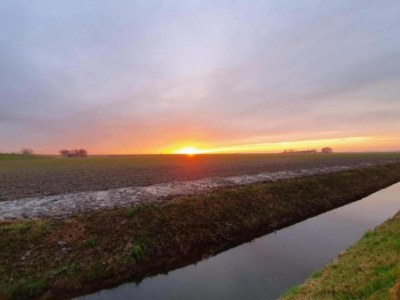 Holiday house Bungalow by Water near Rotterdam - Environment photo 18