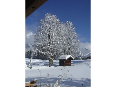 Apartment "Wiese" at the Jägerhof - Environment photo 14