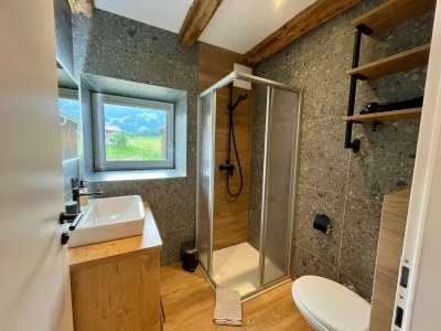 Apartment Saalfelden Apartment Balcony Mountainview - Features photo 13