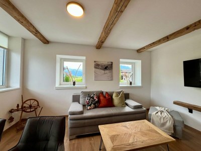 Apartment Saalfelden Apartment Balcony Mountainview - Features photo 19