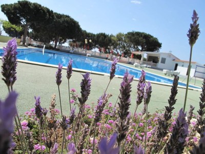 Bungalow Bungalow in Calella by Sea & Mountains - Outdoor photo 12