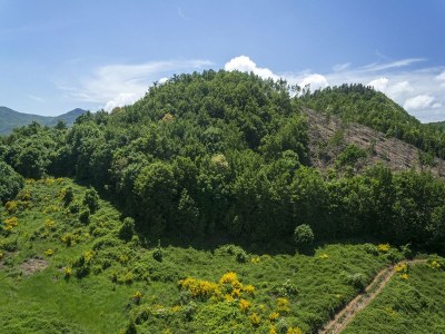 Holiday house Fitnessraum und Panoramablick; Bauernhaus - Environment photo 35