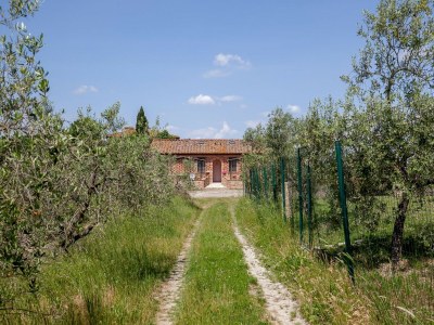 Apartment Schöne Wohnung mit Pool - Outdoor photo 10