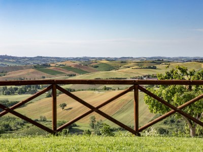 Holiday house Farmhouse in Marche with Pool & Wine Tours - Outdoor photo 16