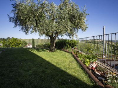 Holiday house Farmhouse in Marche with Pool & Wine Tours - Outdoor photo 18