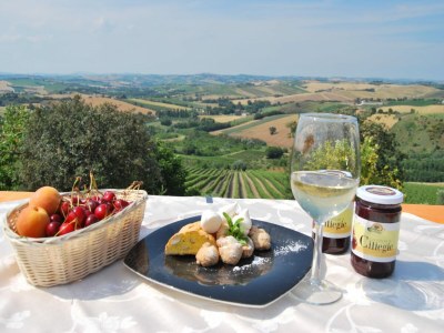 Apartment Wohnung in Marche mit Pool & Weintouren - Outdoor photo 36