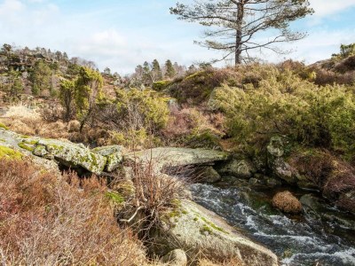Holiday house 7 Personen Ferienhaus in lyngdal - Outdoor photo 10