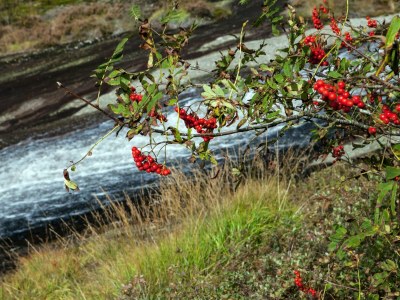 Holiday house 7 Personen Ferienhaus in lyngdal - Outdoor photo 19