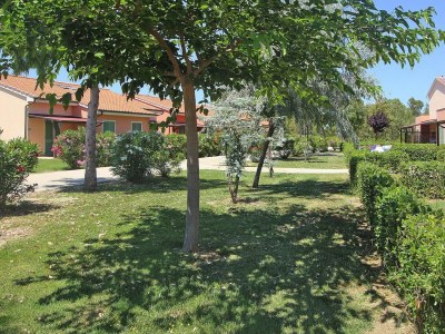 Holiday park Apartment in Tuscany near Sandy Beaches - Outdoor photo 7