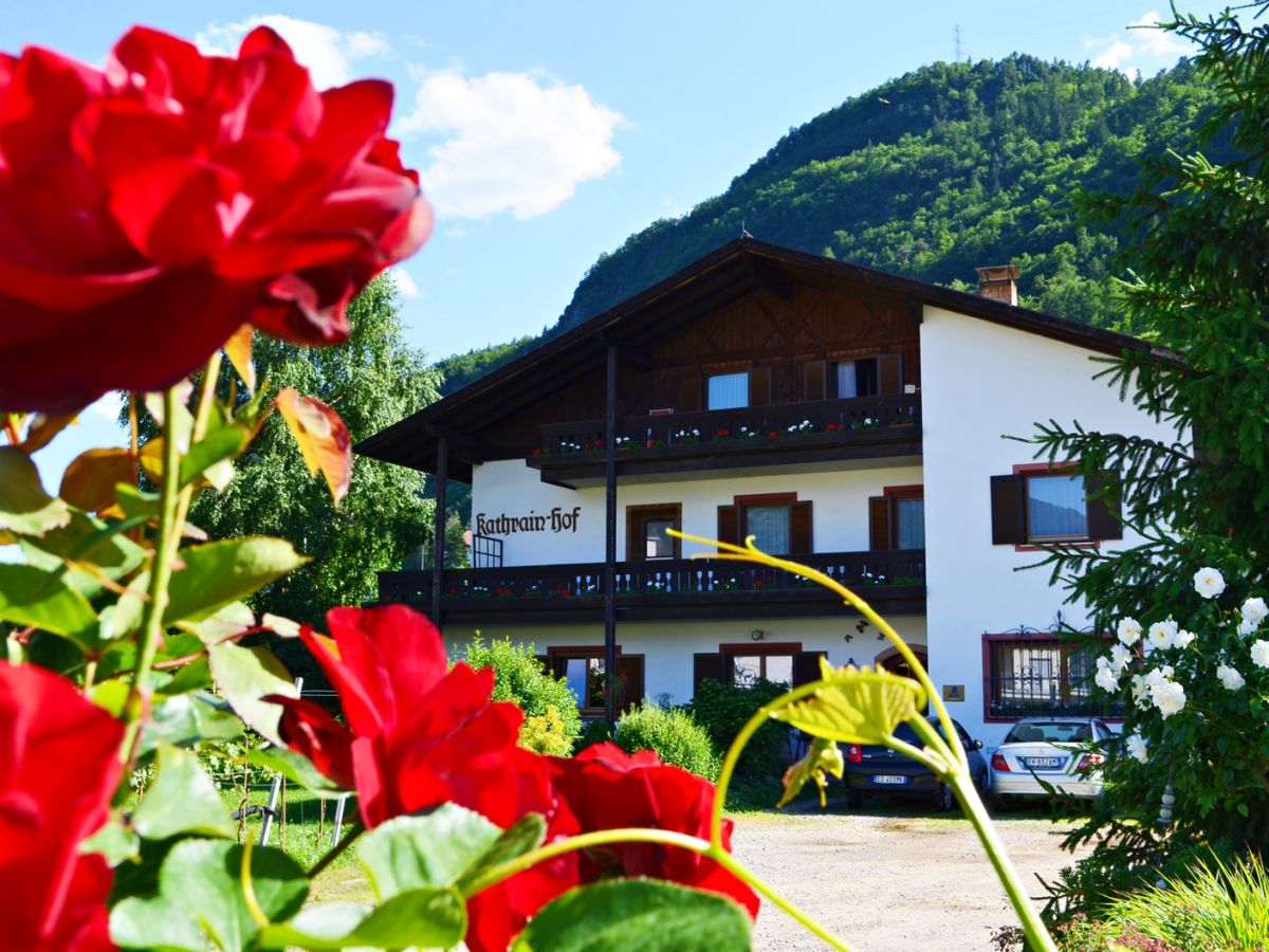 Holiday apartment Birken - Outdoor photo 3