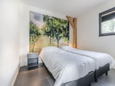 Holiday park Holiday home in Baarle-Nassau with garden - Features photo 8