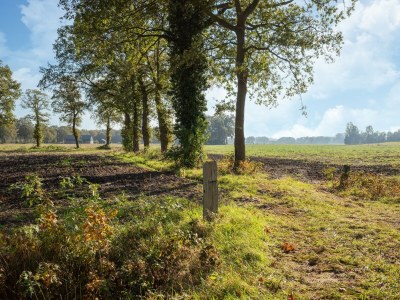 Holiday house Ferienhaus in Haarle nahe Hellendoorn - Environment photo 34