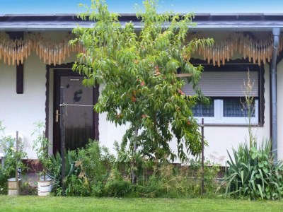 Bungalow Reihenhaus in Lübben an der Spree - Outdoor photo 9