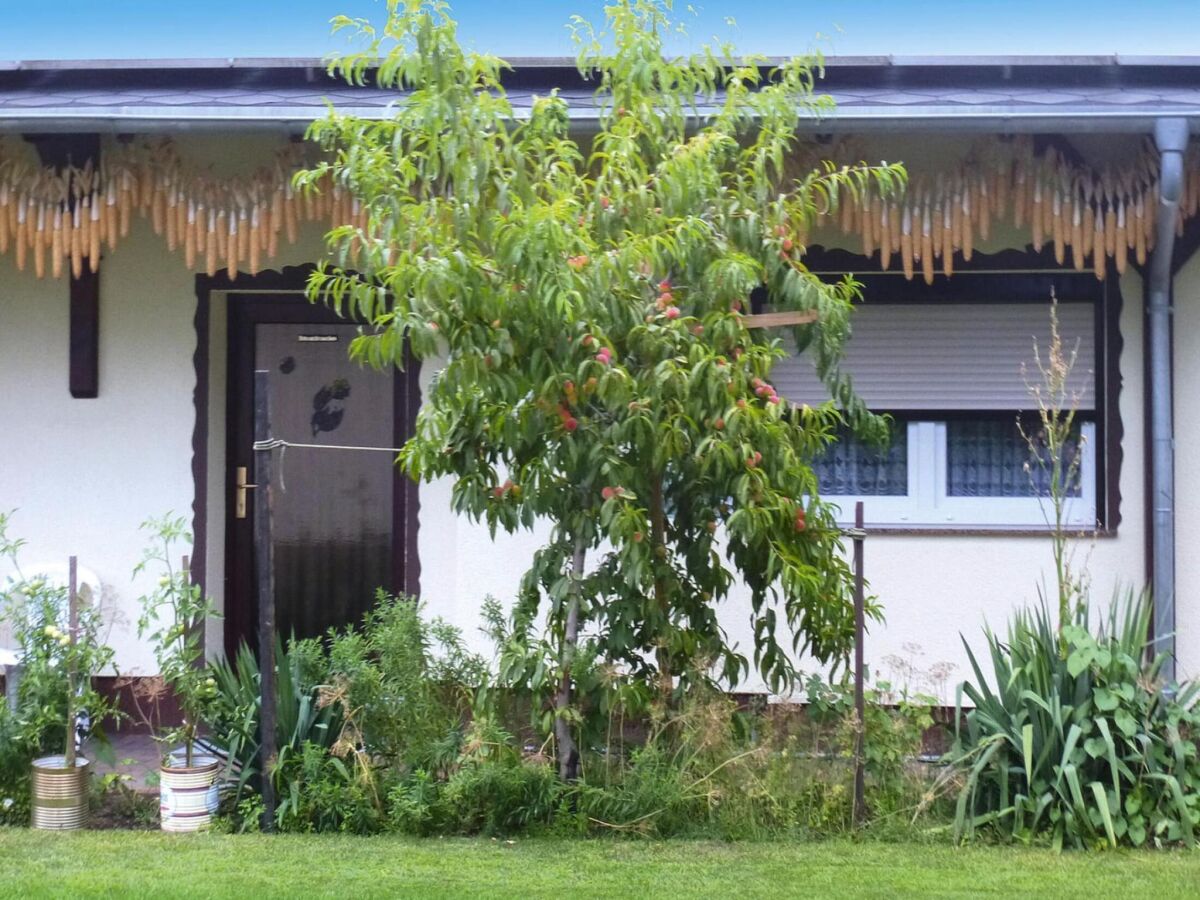 Bungalow Reihenhaus in Lübben an der Spree