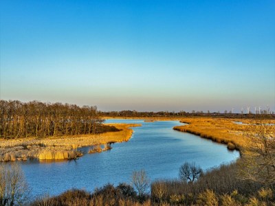 House boat Hausboot auf der Peene, Demmin - Environment photo 6