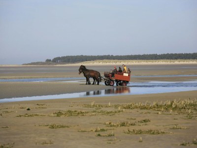 Apartment Ferienwohnung in Cayeux-sur-Mer am Strand - Environment photo 28