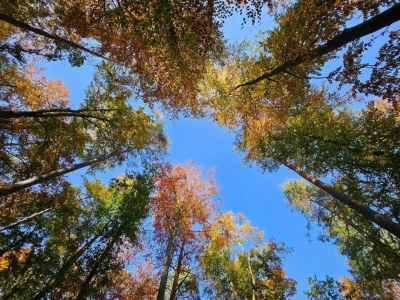 Apartment tolles Appartment in der Seenplatte - Environment photo 53