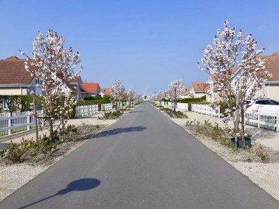 Holiday house Seewind - Outdoor photo 7