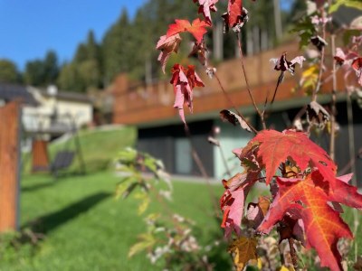 Apartment Apartment Gidi und Lisl - Outdoor photo 3