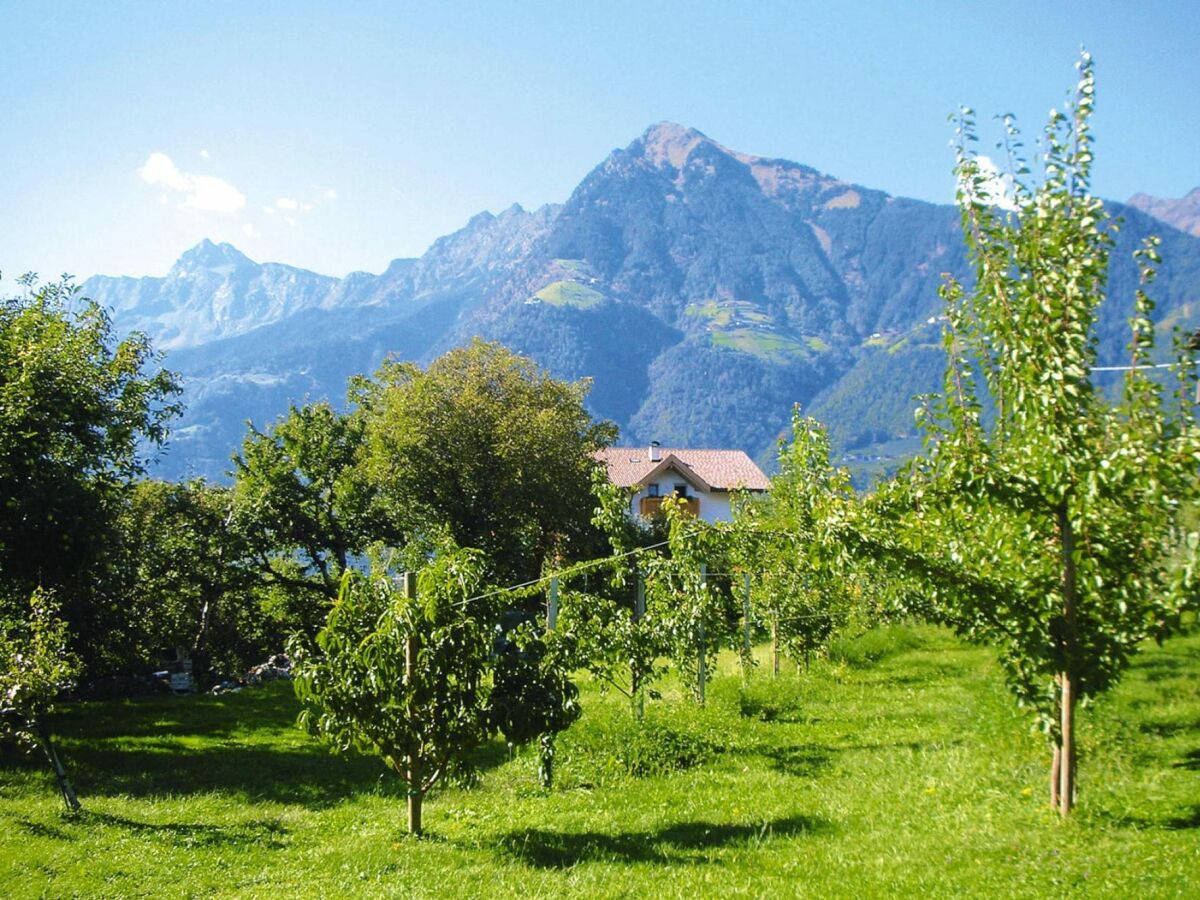 Apartment Apartment in Dorf Tirol near Spronser Lakes - Outdoor photo 4