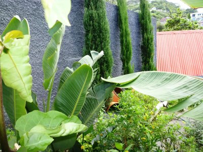 Holiday house Villa in Porto da Cruz with Ocean Views - Outdoor photo 10