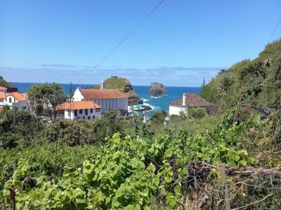 Holiday house Villa in Porto da Cruz with Ocean Views - Outdoor photo 11