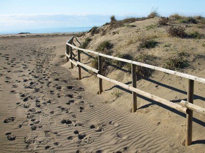 Apartment Appartamento Le Cannucce al mare di Castiglione - Outdoor photo 40