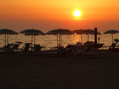 Chalet Villetta le Palme Isola d'Elba - Environment photo 25