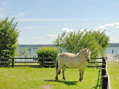 Holiday house Seepark Heidenholz, Plau am See - Outdoor photo 28