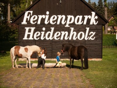 Holiday house Seepark Heidenholz, Plau am See - Features photo 17