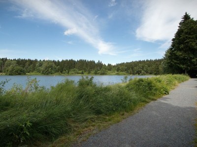 Holiday house Haus beim See - Environment photo 36