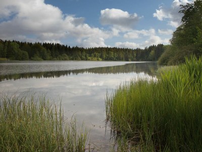 Holiday house Haus beim See - Environment photo 39