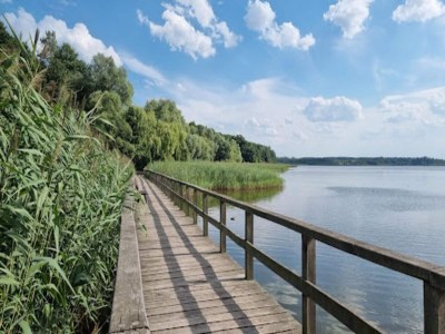 Bungalow Feriendorf am Weinberg, Dobbrikow - Environment photo 33
