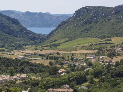 Holiday park Apartment in the hilly landscape of Oletta - Environment photo 19