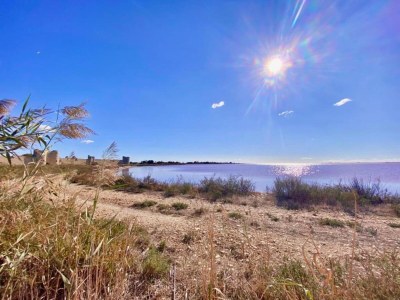 Holiday park Maisonette in Aigues-Mortes near Camargue - Environment photo 22