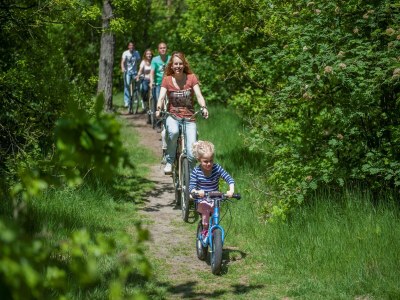 Holiday park Ferienhaus nahe De Biesbosch & Breda - Outdoor photo 35