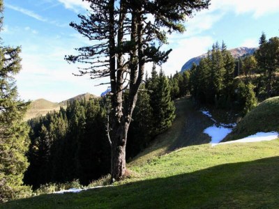Apartment Holiday Rental Chamrousse 118 - Outdoor photo 19