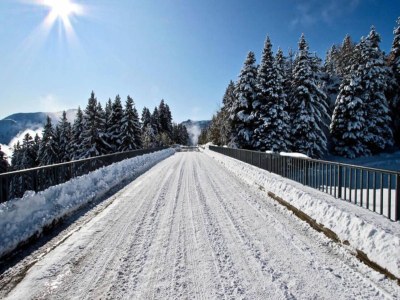 Apartment Holiday Rental Chamrousse 245 - Outdoor photo 13