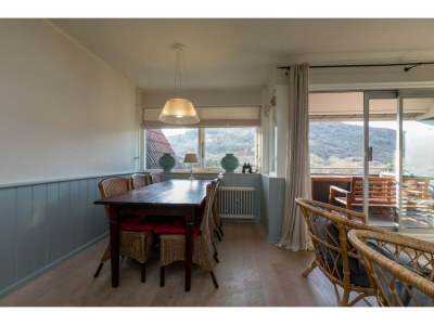 Apartment Apartment in Zoutelande near the Beach - Features photo 16