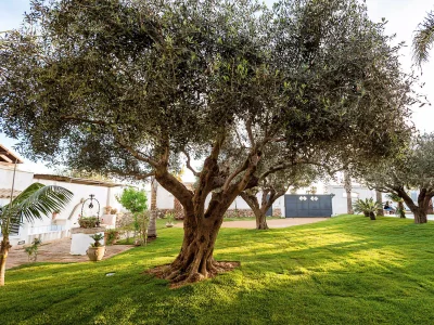 Apartment Casa Marsala 2 - Outdoor photo 13