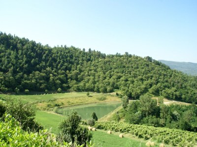 Holiday house Ferienhaus in Dicomano - Outdoor photo 4