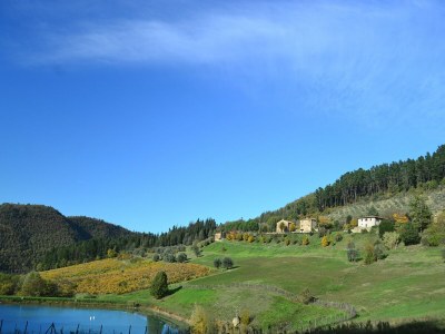 Holiday house Ferienhaus in Dicomano - Environment photo 13