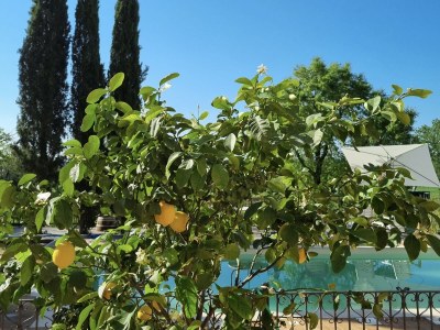Holiday apartment Fornace - Outdoor photo 5