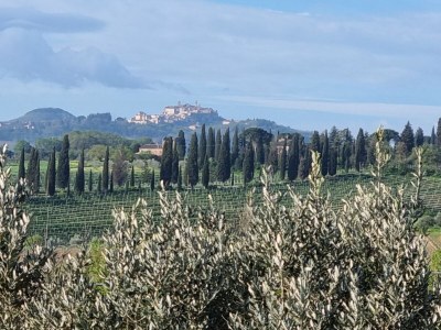 Holiday apartment Fornace - Environment photo 39